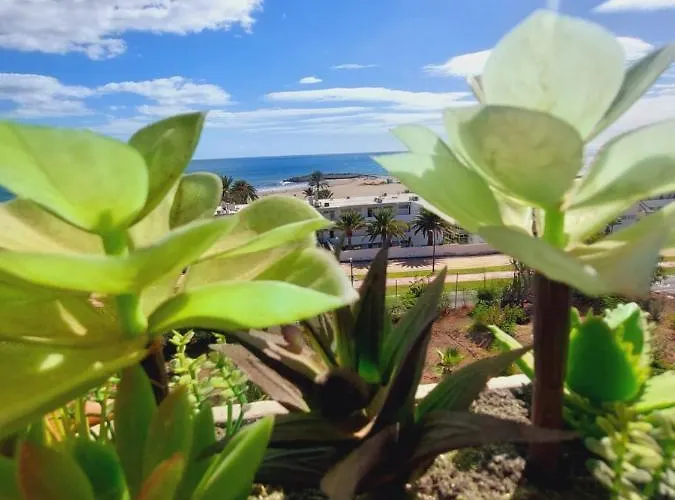 Views Horizonte *